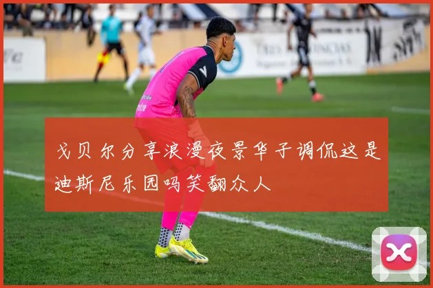 戈贝尔分享浪漫夜景华子调侃这是迪斯尼乐园吗笑翻众人